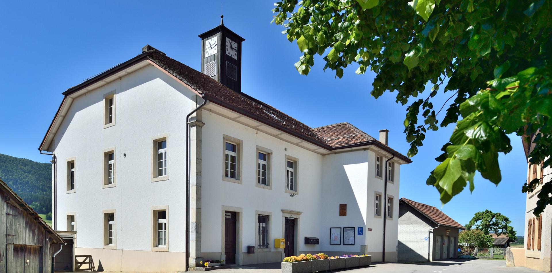 Valbirse